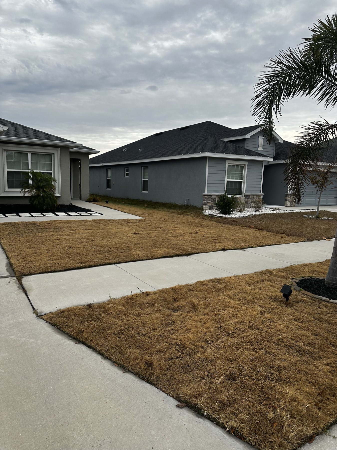 Frost — Winter dormancy. The lawn is not dead, it is asleep — and it stays that way until something feeds it.
