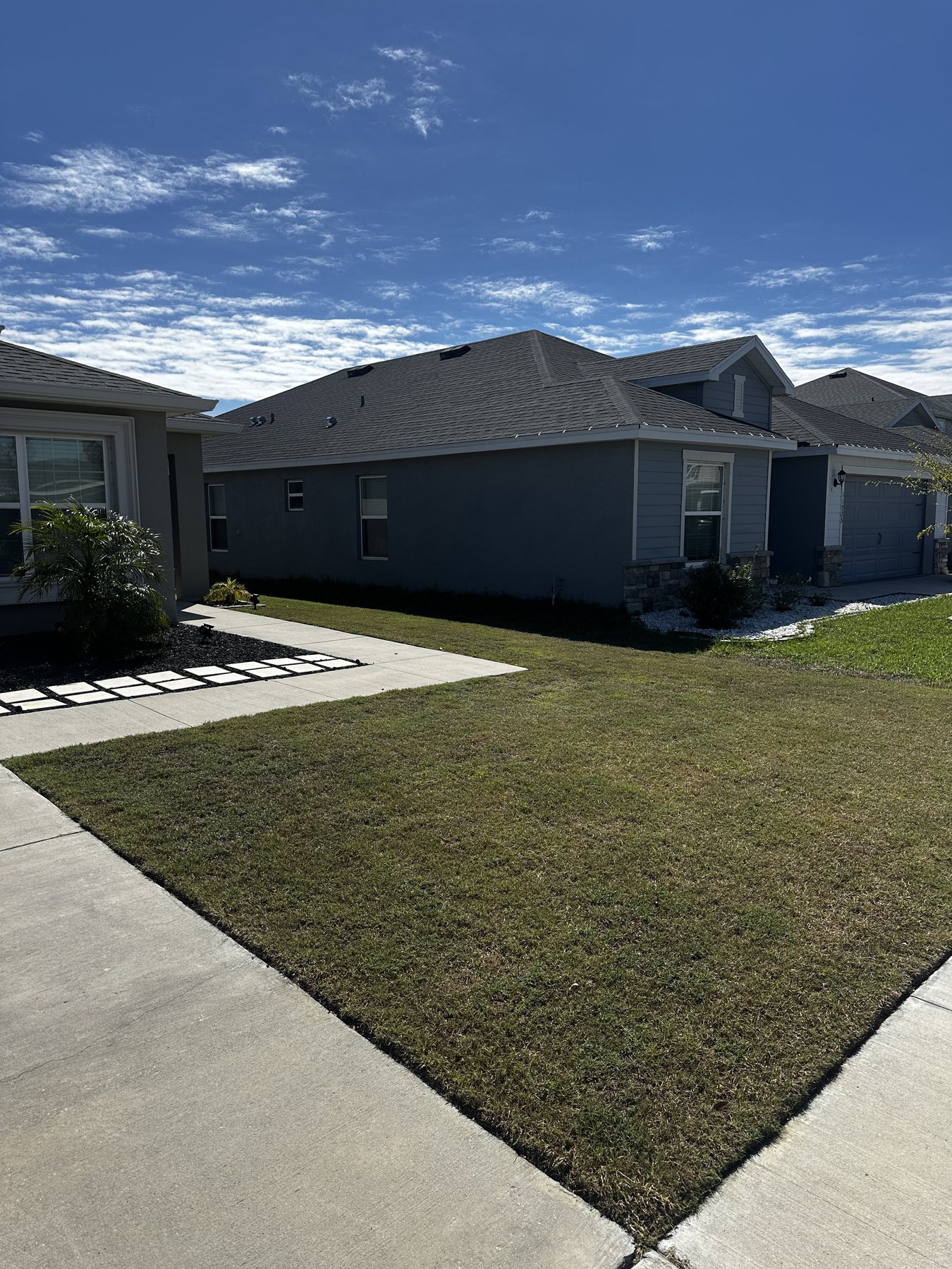 Month 2 — Color has spread across the yard and the thin, worn patches are closing in on themselves.